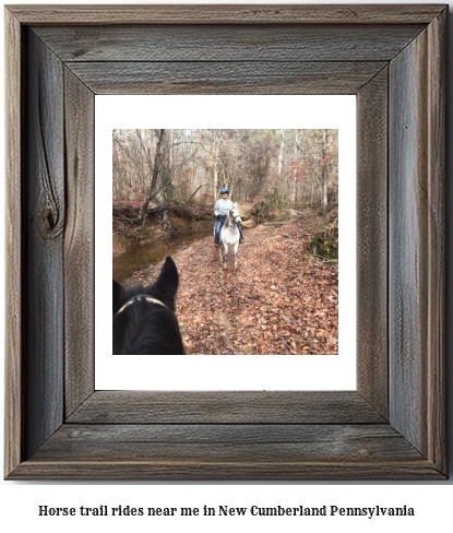 horse trail rides near me in New Cumberland, Pennsylvania